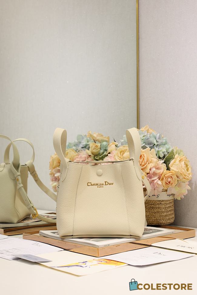 Colestore Dior Signature Bucket Bag in Beige  21×19×11cm - 1