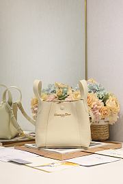 Colestore Dior Signature Bucket Bag in Beige  21×19×11cm - 1