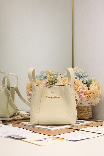 Colestore Dior Signature Bucket Bag in Beige  21×19×11cm