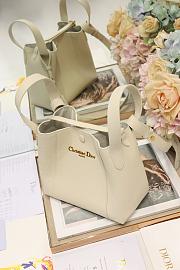 Colestore Dior Signature Bucket Bag in Beige  21×19×11cm - 4