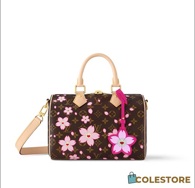 Colestore Louis Vuitton LV x TM Speedy Bandoulière 25 25x19x15cm - 1