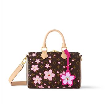 Colestore Louis Vuitton LV x TM Speedy Bandoulière 25 25x19x15cm