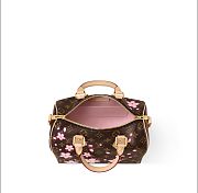 Colestore Louis Vuitton LV x TM Speedy Bandoulière 25 25x19x15cm - 6