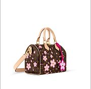 Colestore Louis Vuitton LV x TM Speedy Bandoulière 25 25x19x15cm - 5
