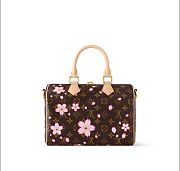 Colestore Louis Vuitton LV x TM Speedy Bandoulière 25 25x19x15cm - 4