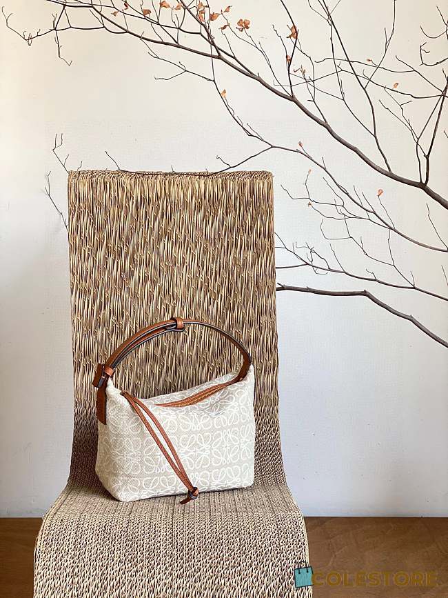 Colestore Loewe Cubi Anagram Canvas And Leather Shoulder Bag 21x17x12.5cm - 1