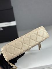 Colestore Chanel 25p lp Vanity Bag Beige 19.5x5x17cm - 6