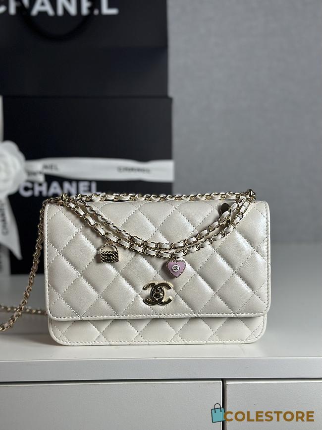 Colestore Chanel 25P Woc White size 19cm - 1