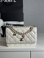 Colestore Chanel 25P Woc White size 19cm - 1