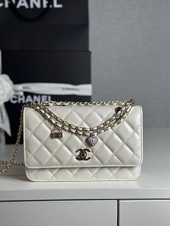 Colestore Chanel 25P Woc White size 19cm