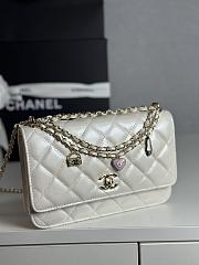Colestore Chanel 25P Woc White size 19cm - 3
