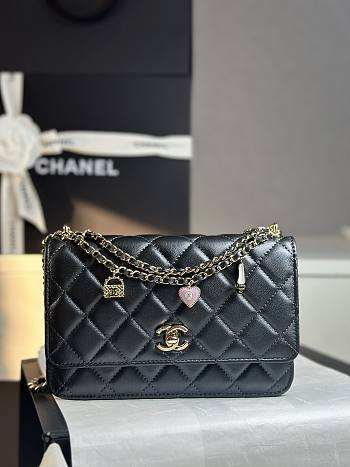 Colestore Chanel 25P Woc Black size 19cm