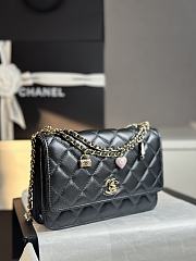 Colestore Chanel 25P Woc Black size 19cm - 5