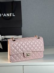 Colestore Chanel 24K CF Bodin Joyeux Gold hardware in Pink size 25cm - 4