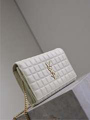 Colestore YSL Saint Laurent Cassandre Ysl Wallet on Chain in White 23x14x3cm  - 5
