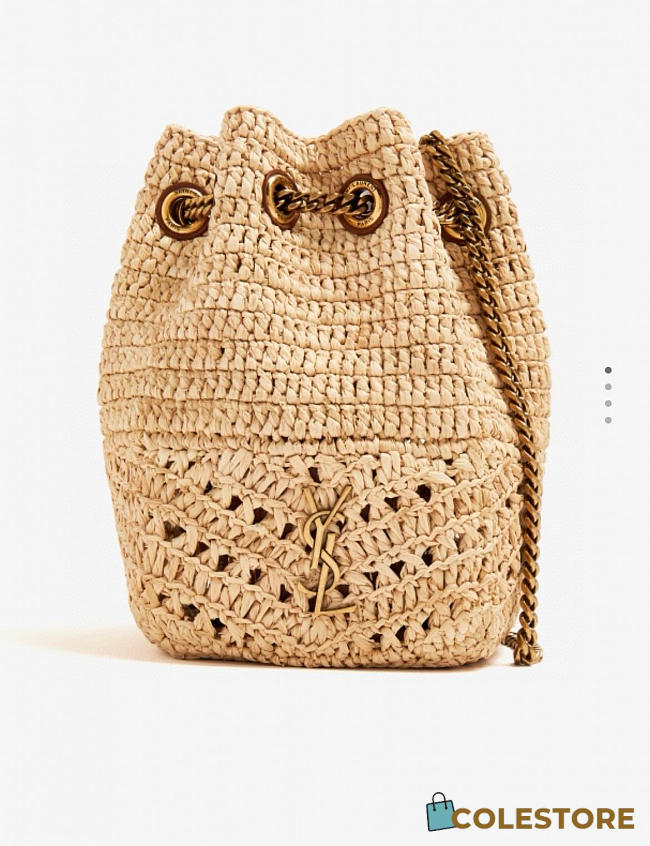 Colestore YSL Mini Joe in Raffia Bag 19x13x13cm - 1
