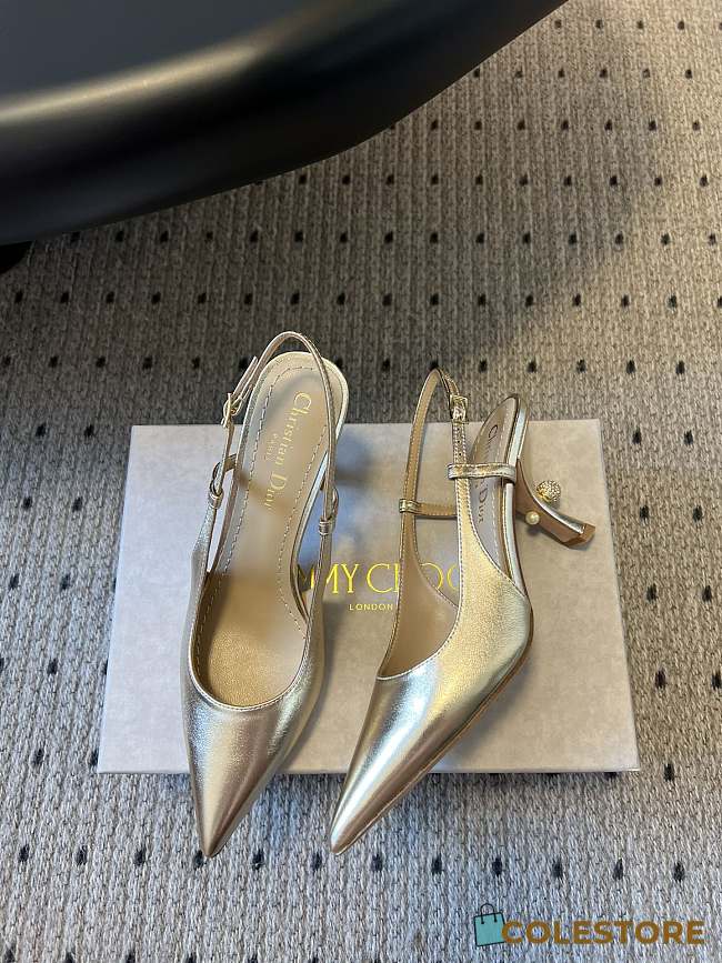 Colestore Dior Christian Dior Tribales Slingback Pump - 1