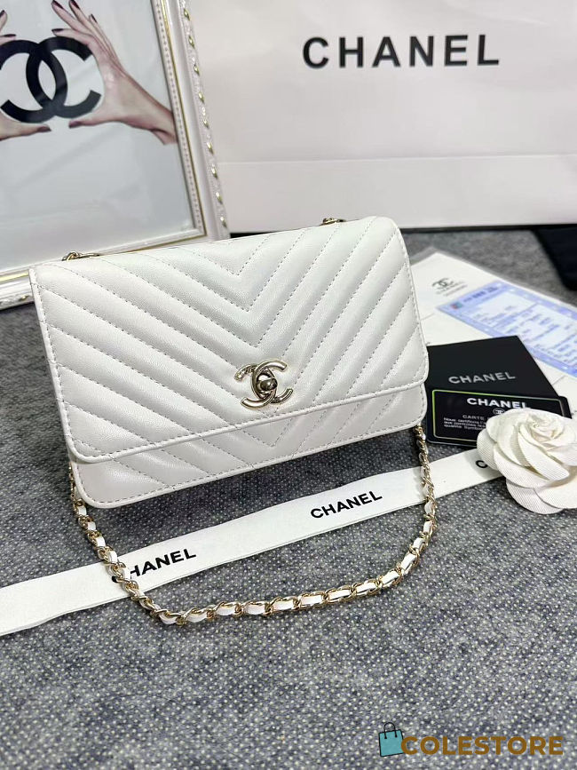 Colestore Lamb Skin V-Type Chain Bag White 19x13.5x3.5cm - 1