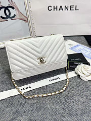 Colestore Lamb Skin V-Type Chain Bag White 19x13.5x3.5cm - 1