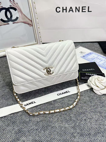 Colestore Lamb Skin V-Type Chain Bag White 19x13.5x3.5cm