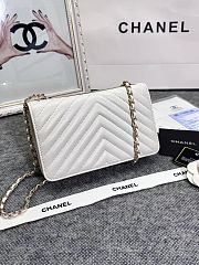 Colestore Lamb Skin V-Type Chain Bag White 19x13.5x3.5cm - 2