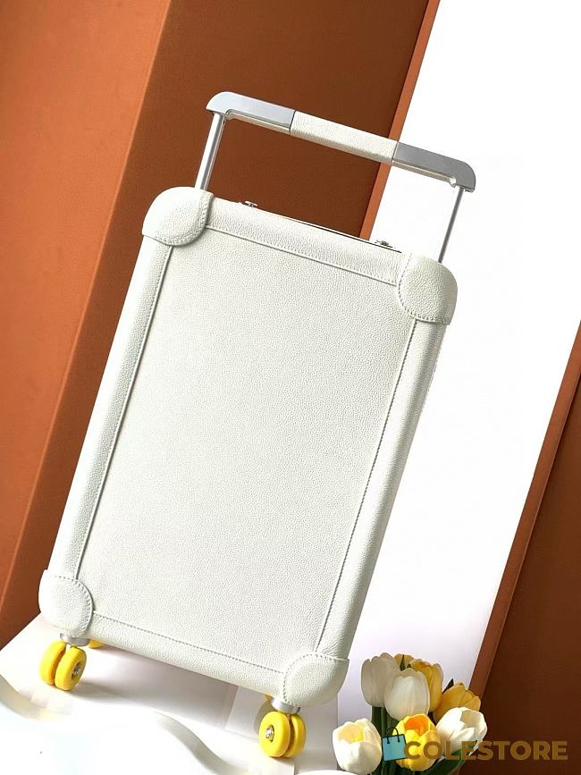 Colestore Hermes Cabin Luggage Trolley Case 20-inch - 1