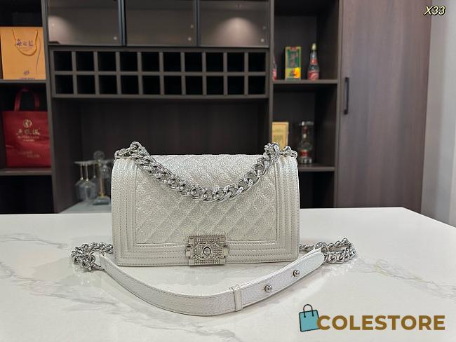 Colestore Chanel Leboy Crystals White in Leather 25x15x9cm - 1