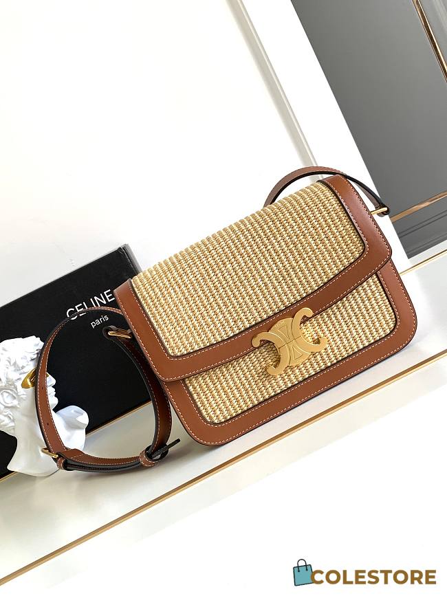 Colestore Celine Teen Triomphe Bag In Textile And Calfskin Leather 22X16.5X7cm - 1