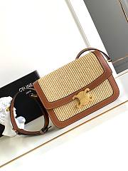 Colestore Celine Teen Triomphe Bag In Textile And Calfskin Leather 22X16.5X7cm - 1