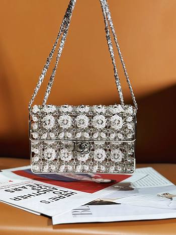 Colestore 23 CF Handmade Pearl Openwork Metal Bag size 17cm