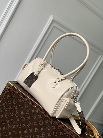 Colestore Louis Vuitton LV Speedy Cargo Vibe LV Vibe 17 x 12 x 28cm