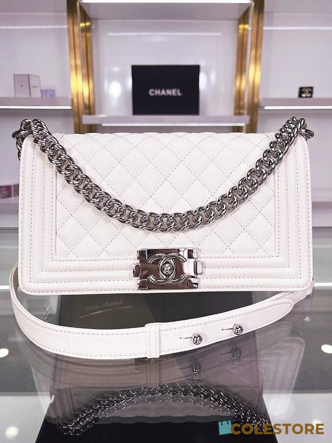 Colestore Chanel Leboy White Sliver Hardware in Leather 25x15x9cm - 1