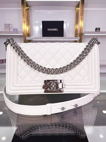 Colestore Chanel Leboy White Sliver Hardware in Leather 25x15x9cm