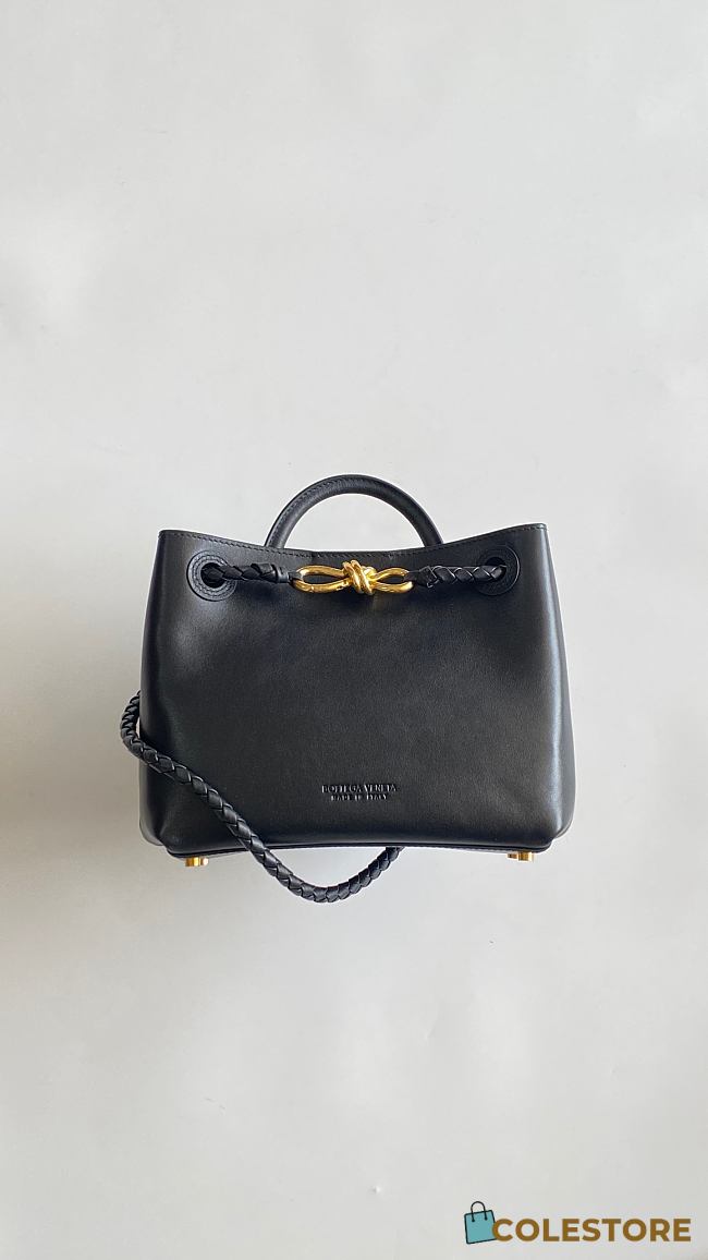 Colestore Bottega Veneta Andiamo bag Black 25x22x10.5cm - 1