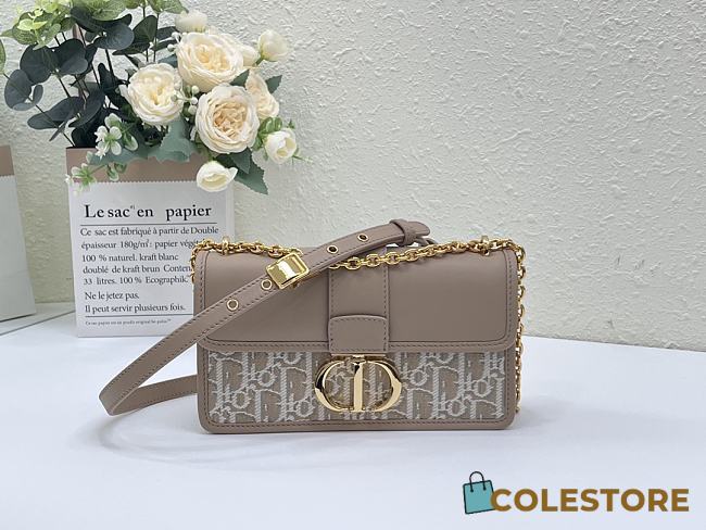 Colestore Dior 30 Montaigne East-West Bag with Chain Natural Dior Oblique Jacquard 21 x 12 x 6cm - 1