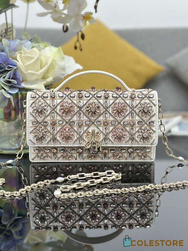 Colestore Dior Or My Dior Mini Bag 21 x 11.5 x 4 cm - 1