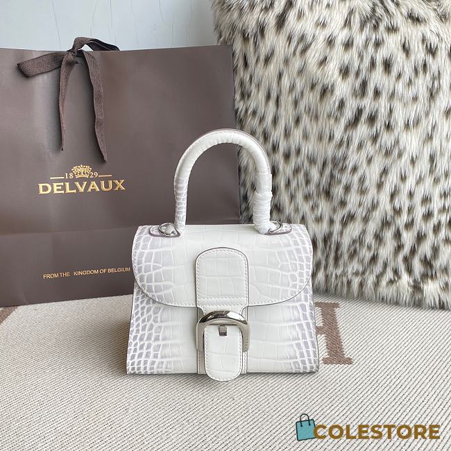 Colestore Delvaux Brillant Handbag 20x10x16cm - 1