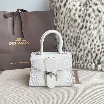 Colestore Delvaux Brillant Handbag 20x10x16cm