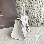 Colestore Delvaux Brillant Handbag 20x10x16cm - 6