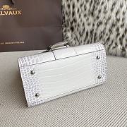 Colestore Delvaux Brillant Handbag 20x10x16cm - 5