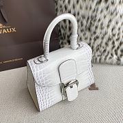 Colestore Delvaux Brillant Handbag 20x10x16cm - 2