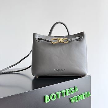 Colestore Bottega Veneta Andiamo bag Gray 25x22x10.5cm