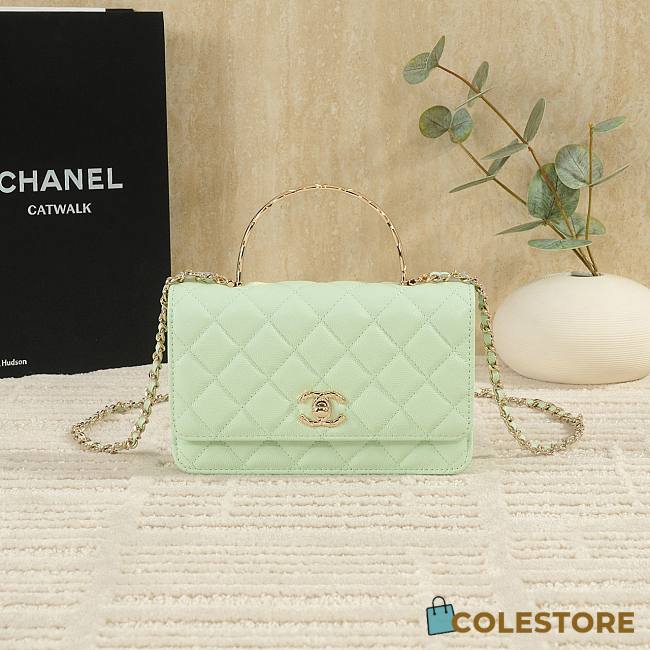 Colestore Chanel 25S Woc Baby Green 19cm  - 1