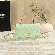 Colestore Chanel 25S Woc Baby Green 19cm  - 4