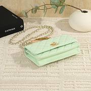 Colestore Chanel 25S Woc Baby Green 19cm  - 3
