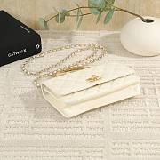Colestore Chanel 25S Woc White 19cm  - 3