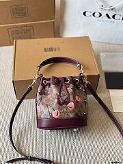 Colestore Coach Mini Bucket Bag In Signature Canvas With Cherry Print 17x14x19cm - 5