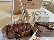 Colestore Coach Tabby Beige Brown 20 x 7 x 11cm - 1
