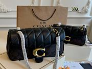 Colestore Coach Tabby Black 20 x 7 x 11cm - 5
