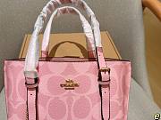 Colestore Coach Mollie Tote Bag 25 Pink  - 2